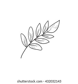 Palm branch vector sketch icon isolated on background. Hand drawn Palm branch icon. Palm branch sketch icon for infographic, website or app.