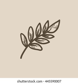 Palm branch vector sketch icon isolated on background. Hand drawn Palm branch icon. Palm branch sketch icon for infographic, website or app.
