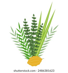 Palm branch, willow and myrtle leaves, bright yellow etrog. Jewish festival Sukkot four species lulav and esrog