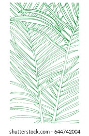 Palm branches