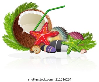Palm branches with coconut, starfishes, seashells and pebbles on white background