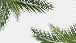 Palmenzweige In Den Ecken, Tropische Pflanzen Dekorative Elemente