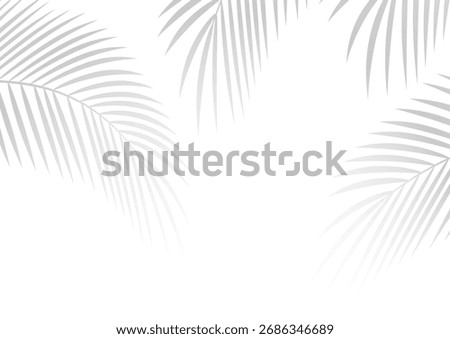 Palm branches. Monochrome background. Shadows.