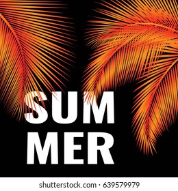 Palm branches on the background. Summer Design. Vector illustration