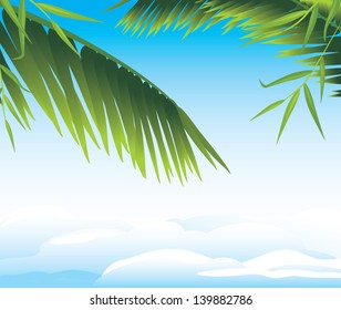 Palm branches on the cloudscape background. Vector