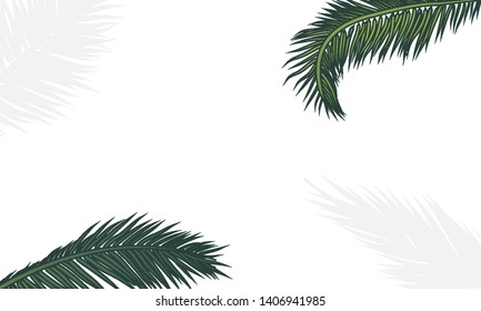 Palm branches on a white background, vector art illustration.