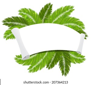 Palm branches with a paper scroll on white background