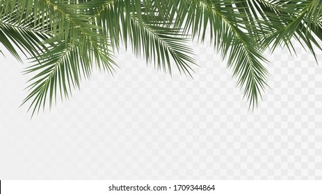 Palm branches seamless pattern, edge with tropical plants