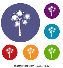 Palm chamaerops icons set in flat circle reb, blue and green color for web