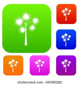 Palm chamaerops set icon in different colors isolated vector illustration. Premium collection