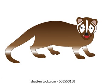 Palm Civet 