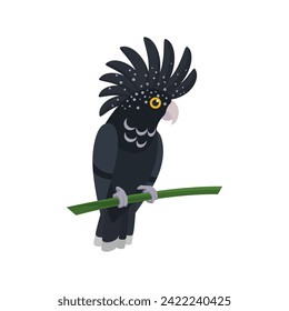 Palm cockatoo, great black parrot with beak and plume on head vector illustration