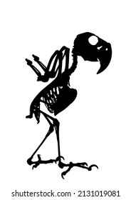 Palm Cockatoo Parrot skeleton vector silhouette illustration isolated on white background. Chicken bird body anatomy symbol.