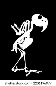 Palm Cockatoo Parrot skeleton vector silhouette illustration isolated on black background. Chicken bird body anatomy symbol.