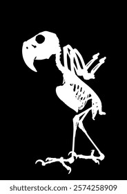 Palm Cockatoo Parrot skeleton vector silhouette illustration isolated on black background. Chicken bird body anatomy symbol.