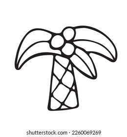 Kokosnuss-Doodle aus Palmen einzeln auf weißem Hintergrund. Symbolpalme gezeichnet. Sommer. Inseln. Meer. Vektorgrafik.