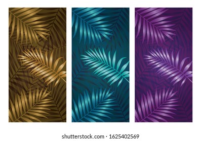 palm coconut leaf nature background
