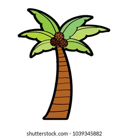 palm coconut plant tree beach flora