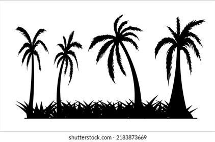 Palm Coconut Tree with Grass in Silhouette