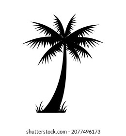 Palm Coconut Tree Icon Vector Template
