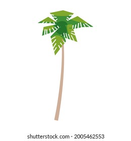 Árbol tropical de coco de palma. Plantas florales exóticas con hojas aisladas. Vector