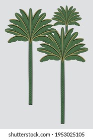 Palm, coconut tree vector art