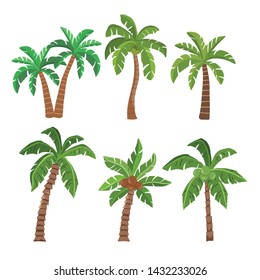 Palmeras y cocoteros aislados de fondo blanco. colección de playa de verano arbolada. ilustración vectorial