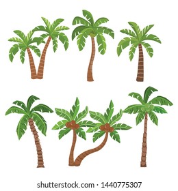 Palm  and coconut trees isolated on white background. tree summer beach collection. vector illustration