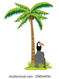 Palm with coconuts and bird toucan on white background