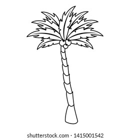 Palm with coconuts cartoon isolated vector illustration graphic design