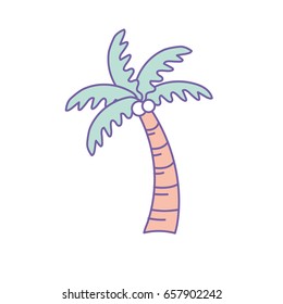 palm with coconuts and leaves