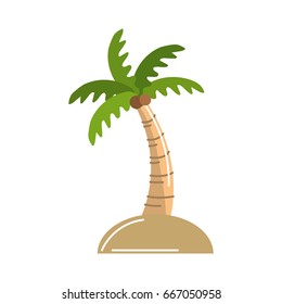 palm with coconuts and leaves
