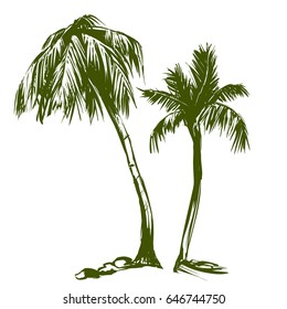 palm collection set cartoon hand drawn vector illustration sketch