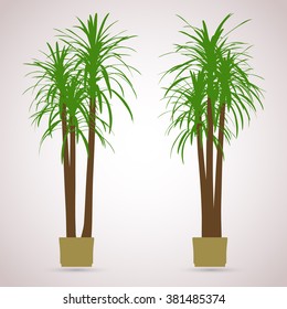 Palm. Color planting of greenery for the flat design world interior. Front, side view