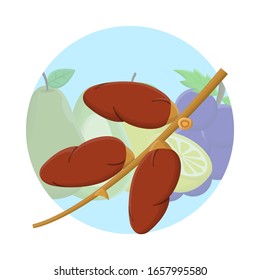 Palm Date Fruit Flat Icon