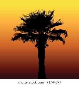 Palm in desert. Abstract colorful vector illustration