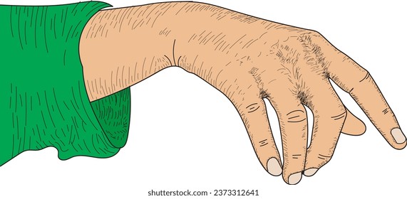 Palm down Hand Illustration Drawing, engraving, ink, line art, vector, hand Drawing sketch