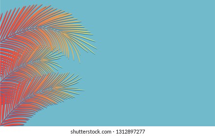 Palm family leaves on a beautiful color background