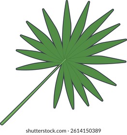 Palm fan leaf in a radial spread, illustrated in a simple vector style. A great fit for exotic or summer decor