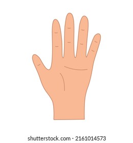 Palm five fingers up. Hand gesture of greeting, vector illustration of isolate on white