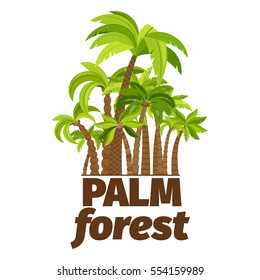 Palm forest logo design with trees isolated on white background. Vector illustration