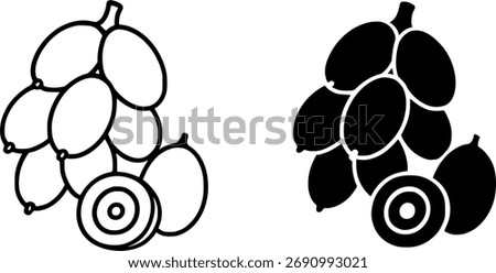 Palm fruit, black and white vector, outline and silhouette versions