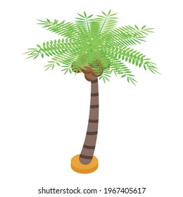 Icono de árbol de palmas. Isométrico del icono vectorial del árbol de palmas para el diseño web aislado en fondo blanco