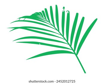 Palm Green Leaf Background Illustration