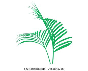 Palm Green Leaf Background Illustration