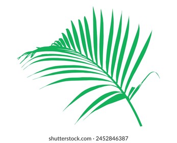 Ilustración de fondo de hoja verde palmera