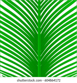 palm green leaf background, vector pattern