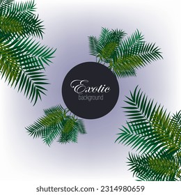 Palm green leaves on abstract background, exotic palm leaves vector