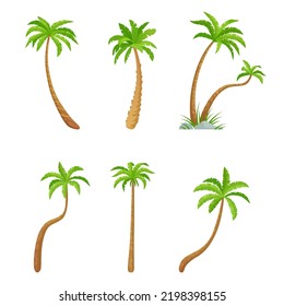 Palm green trees collection, exotic plant set. Vector palm leaf summer, tropical tree jungle illustration