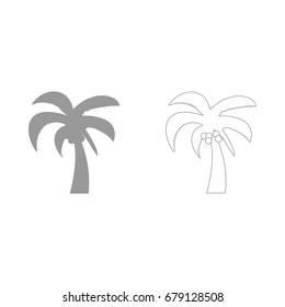 Palm grey set icon .